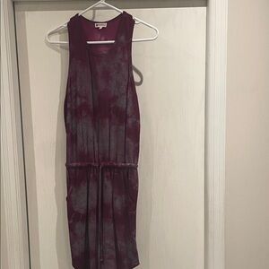 Evereve Burgundy and Gray Mini Dress